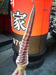 20090516-aisu.jpg